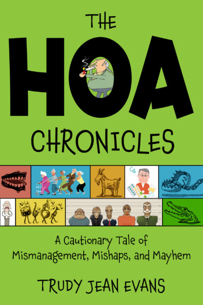 The HOA Chronicles: A Cautionary Tale of Mismanagement, Mishaps, and Mayhem